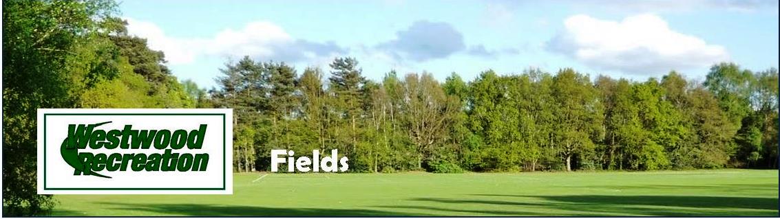 Fields and Facilities Banner