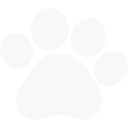 003-pawprint