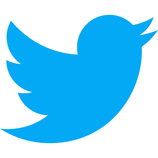 twitter social media icon