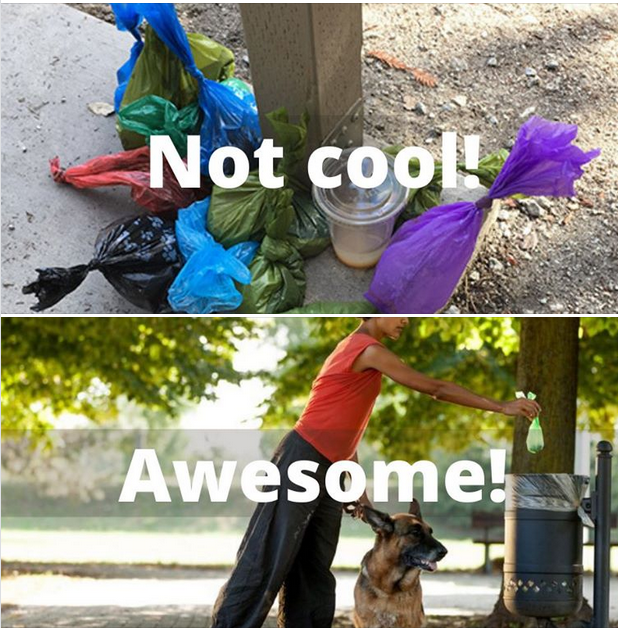 photo of trash left on sidewalk which is not good and a photo of proper disposal of dog waste