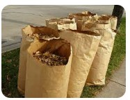 bagged yard waste